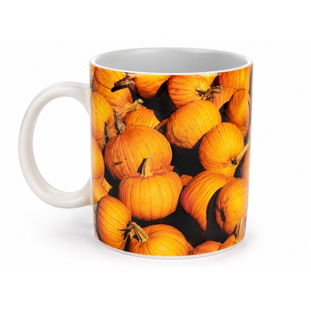 Starbucks 2007 Pumpkin Fall Halloween Coffee Mug 16 oz Ceramic Orange Cup